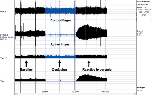 Figure 3)