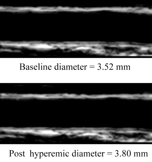 Figure 2)