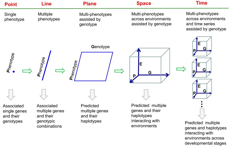 Fig. 4