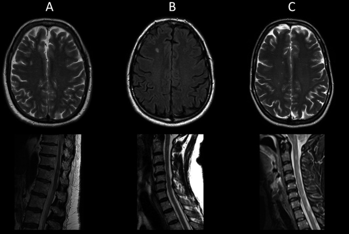 Figure 2