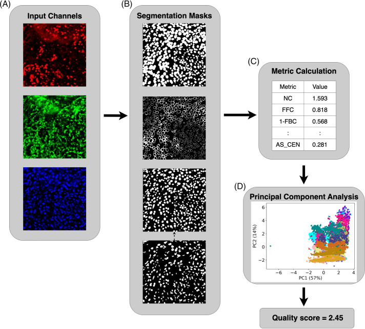 FIGURE 1: