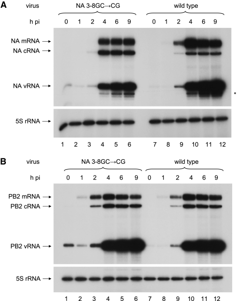 FIG. 4.