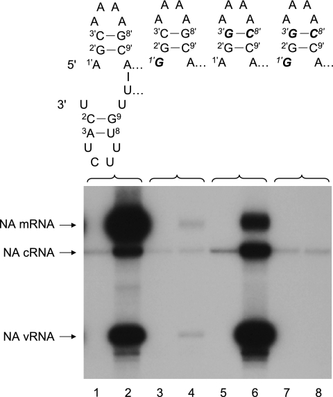 FIG. 5.