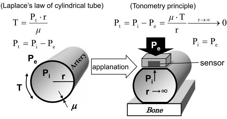 Fig. (1)