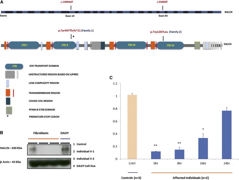 Figure 2