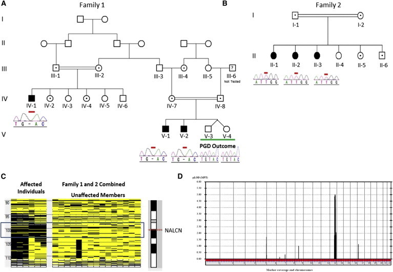 Figure 1