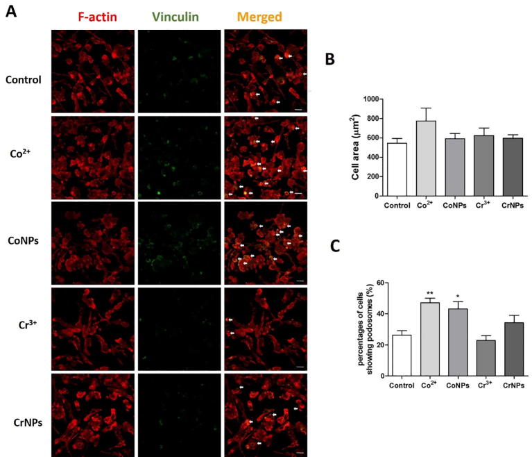 Supplementary Fig. 4