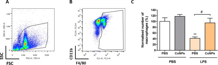 Fig. 3