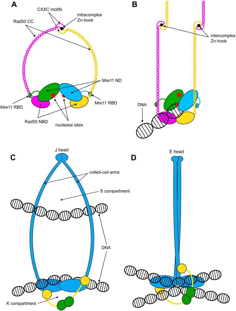 Fig. 9