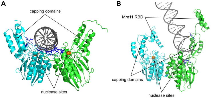 Fig. 8