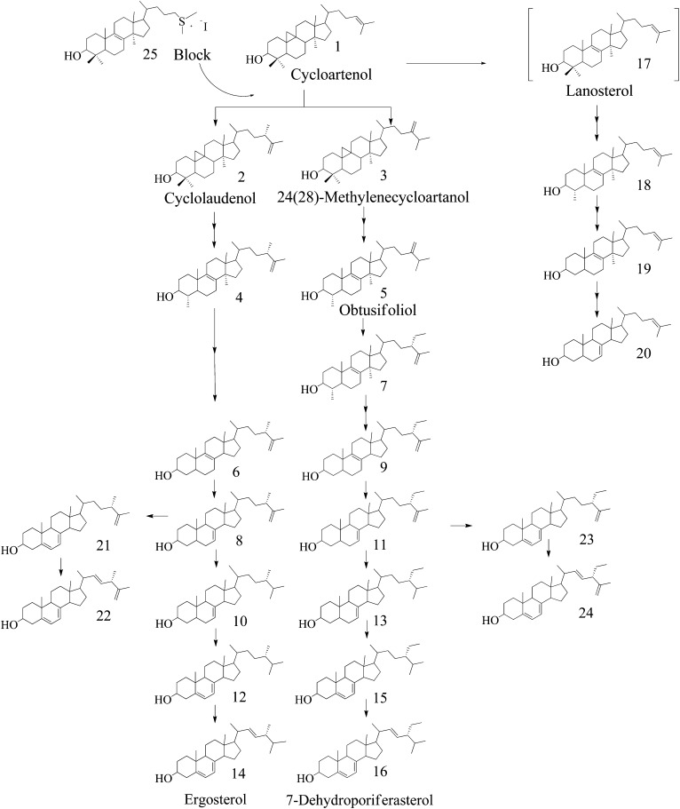 Fig. 7.