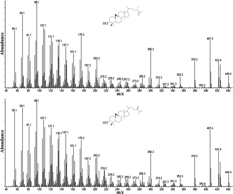 Fig. 5.