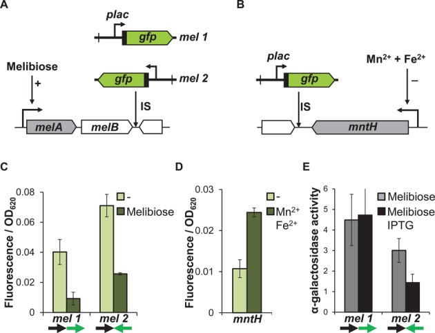 Figure 6.