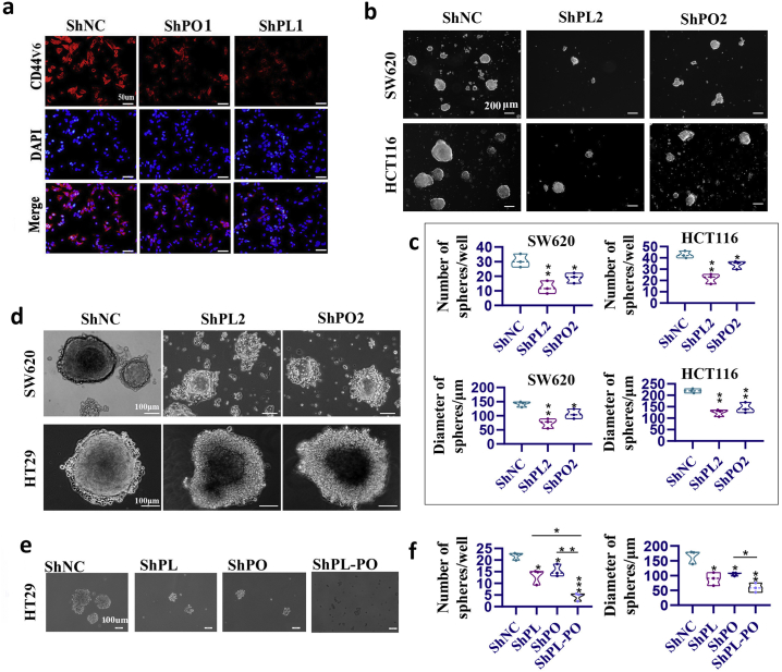 Supplemental Fig. 4