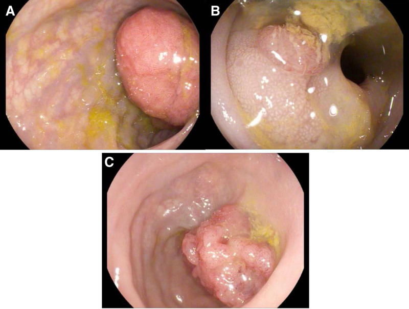 FIGURE 1.