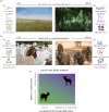 (a) Ecological heterogeneity is defined broadly as the spatial variation in land cover and vegetation (habitat)