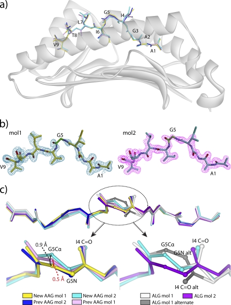 FIGURE 2.