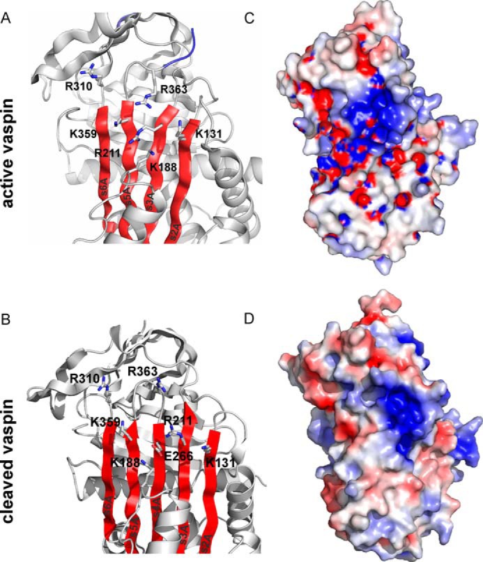 FIGURE 11.