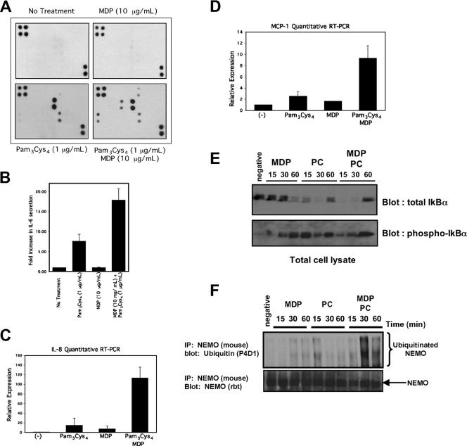 FIG. 8.