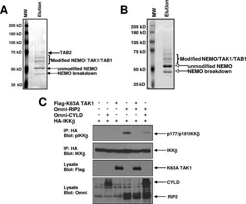 FIG. 6.