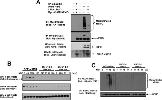 FIG. 7.