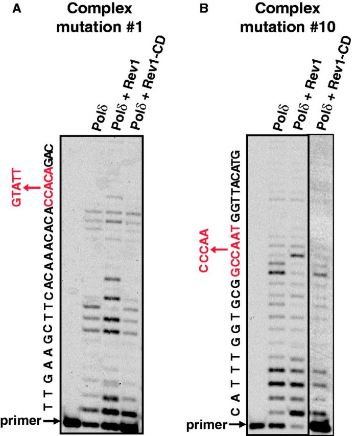 Figure 3.