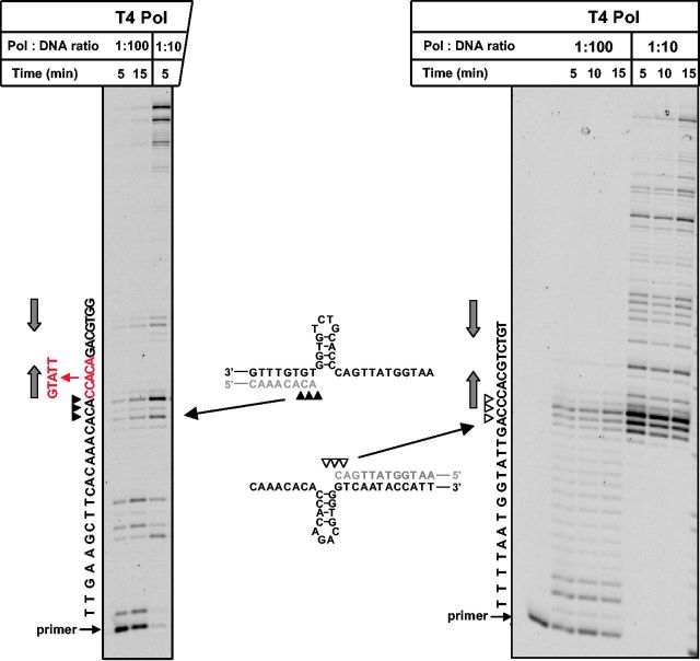 Figure 5.