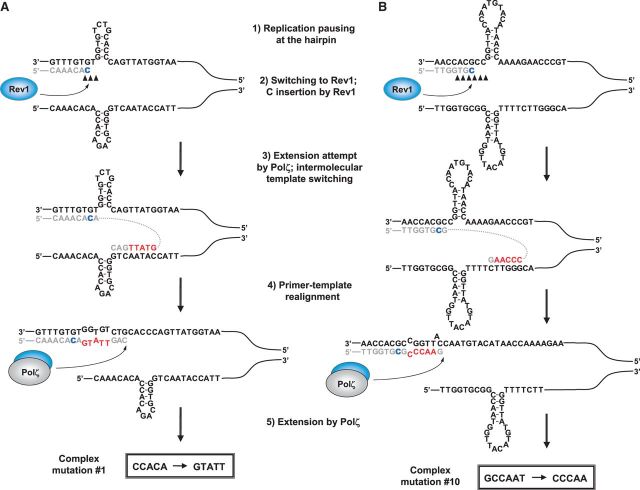 Figure 6.