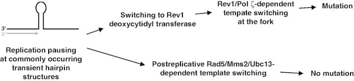 Figure 9.