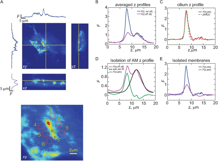 FIGURE 4: