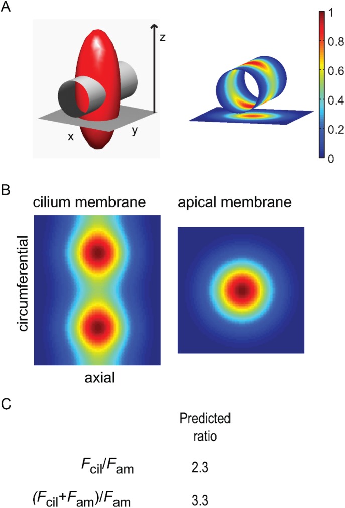 FIGURE 3: