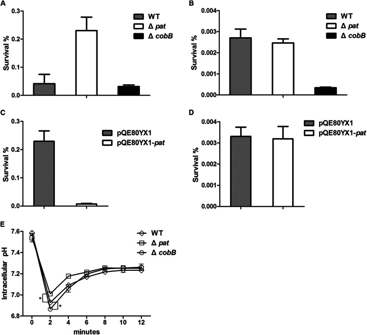 FIG 3