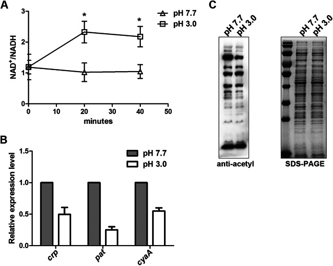 FIG 2