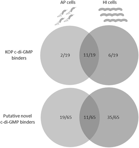 FIG 5