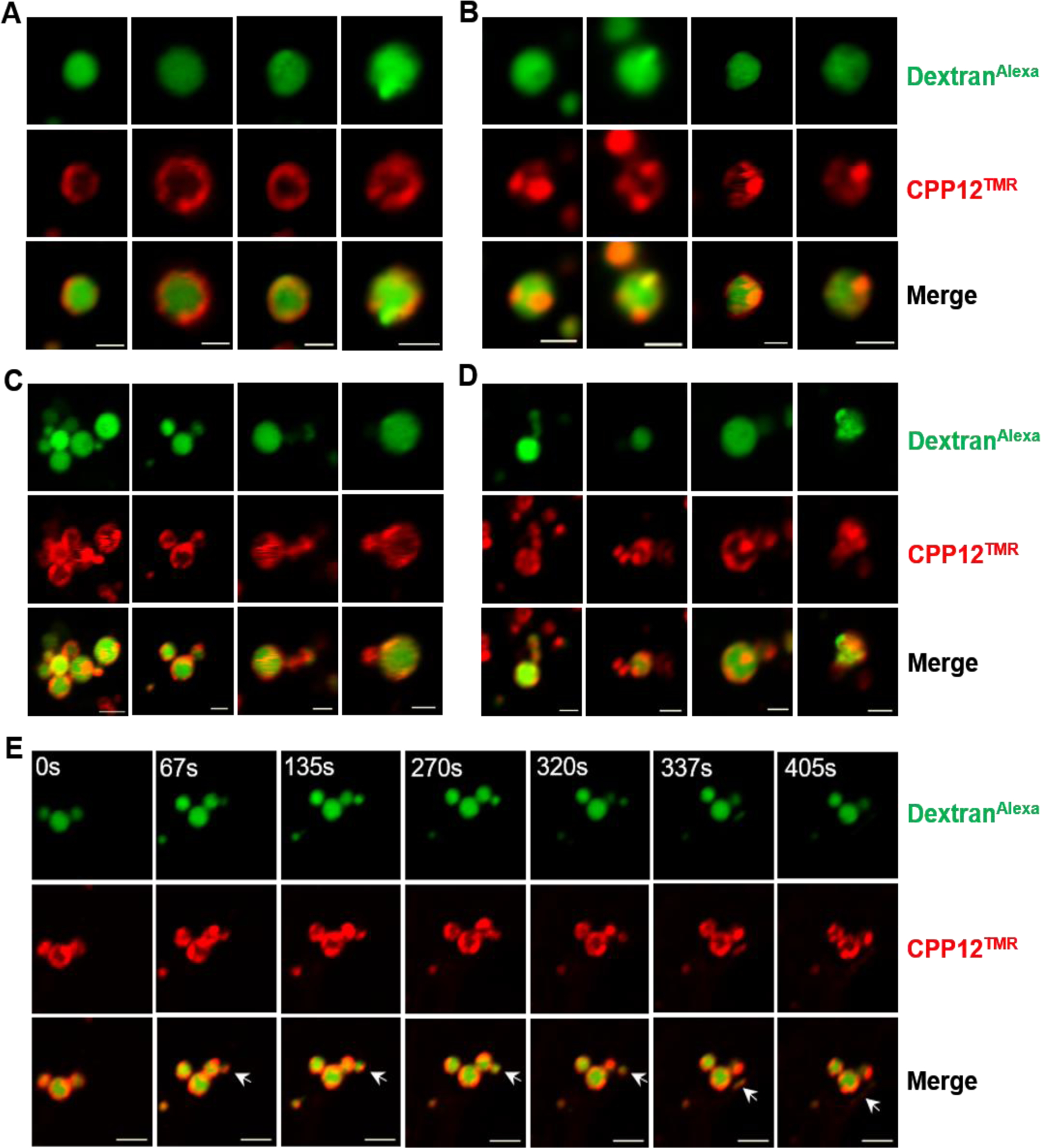 Figure 3.