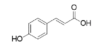 graphic file with name 1678-9849-rsbmt-56-e0121-2023-gf15.jpg