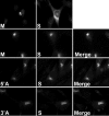 FIG. 8.
