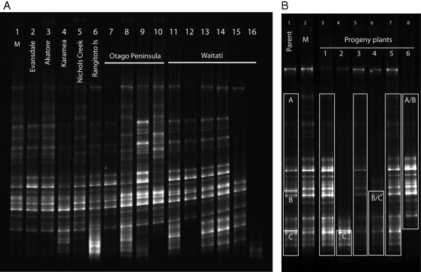 Fig. 2.