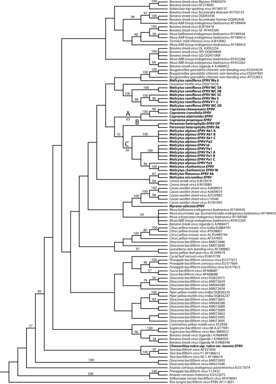 Fig. 1.