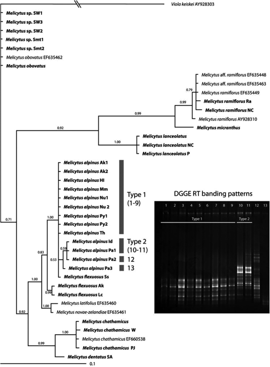 Fig. 3.