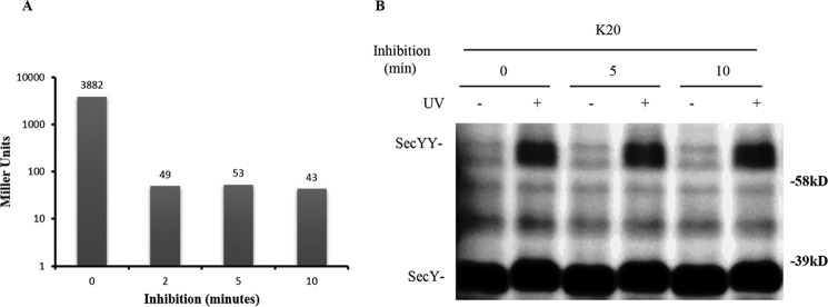 FIGURE 10.