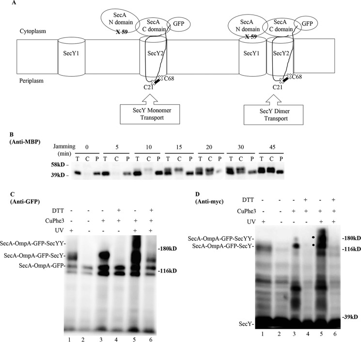 FIGURE 11.