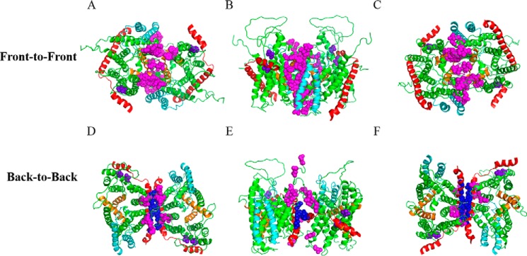 FIGURE 1.