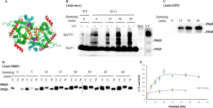 FIGURE 6.