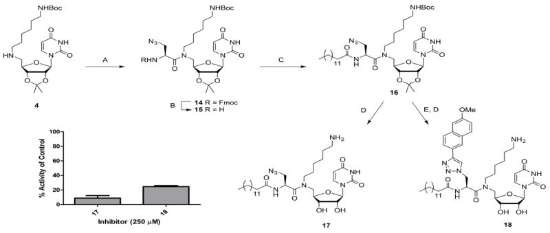 Scheme 3