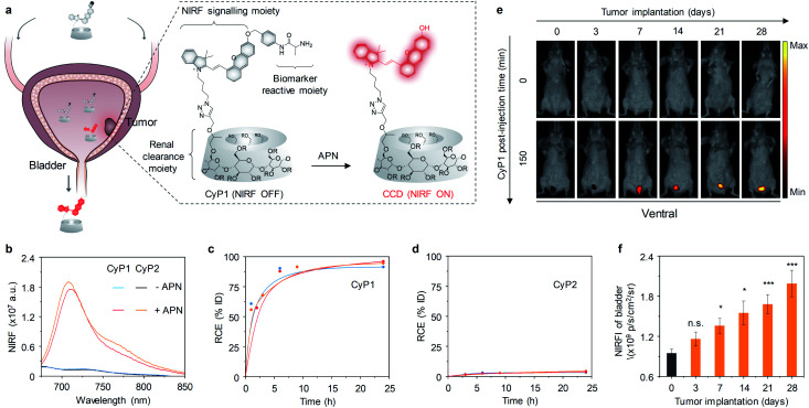 Fig. 10