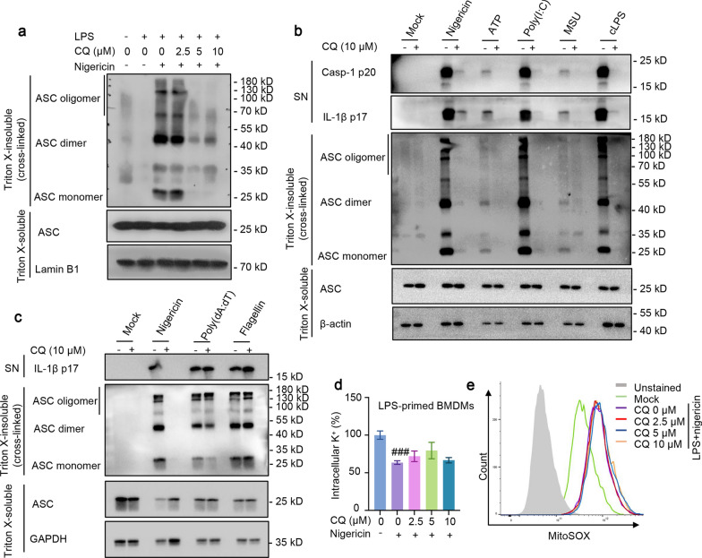 Fig. 4