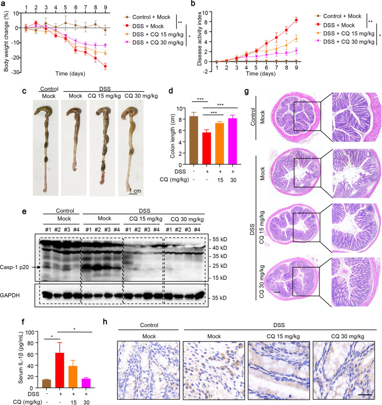 Fig. 7