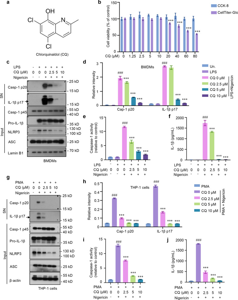 Fig. 1