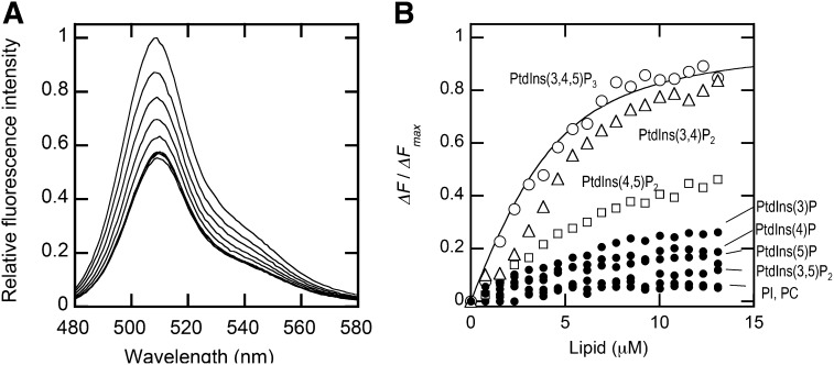 Fig. 3.